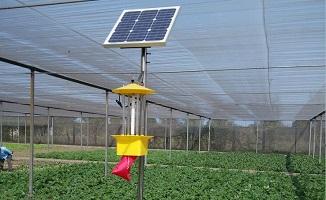 太陽(yáng)能殺蟲燈