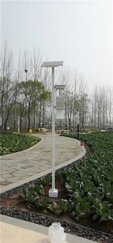 風吸式太陽能殺蟲燈